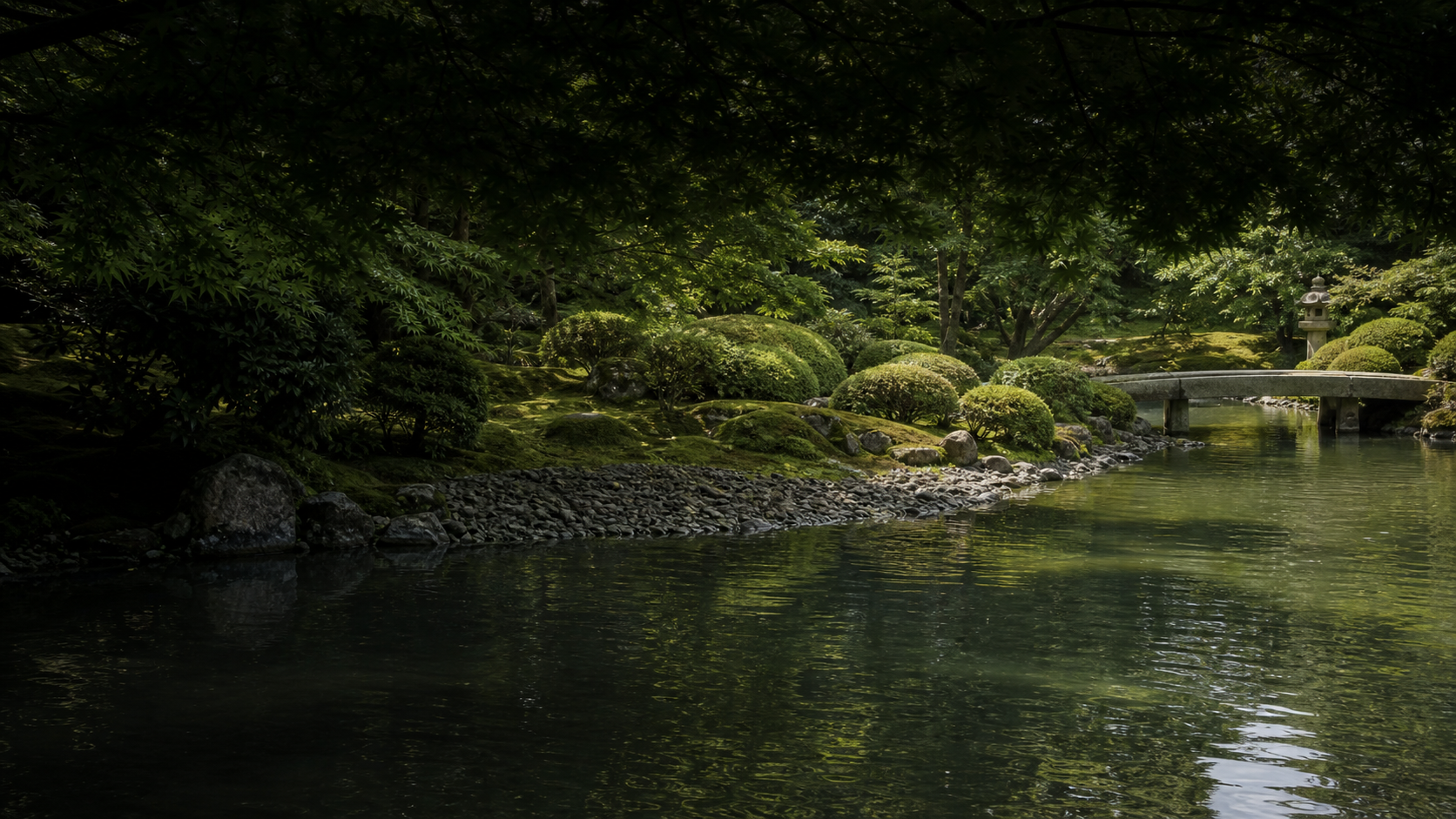 夏の日本庭園。池に張り出した青もみじと州浜、対岸の刈込と石橋